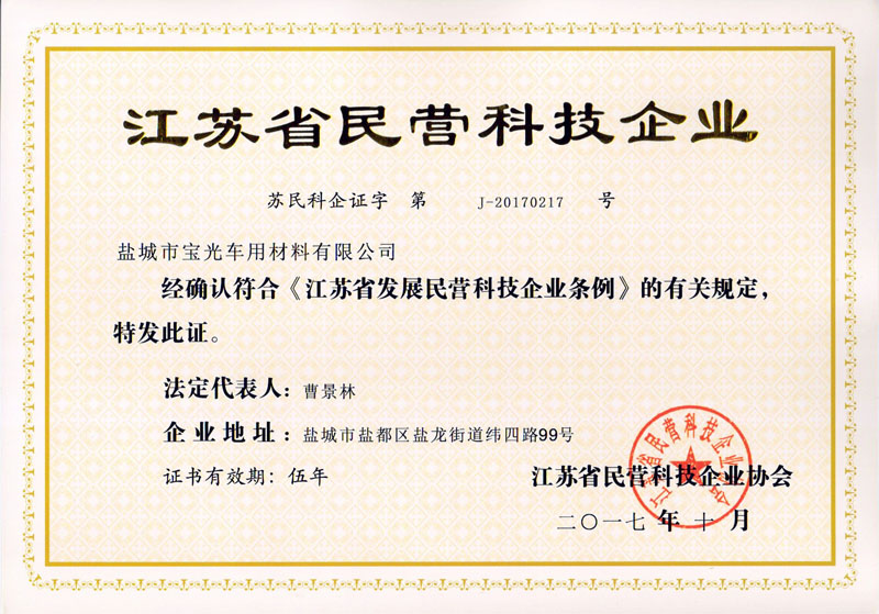 江蘇省民營科技企業.jpg