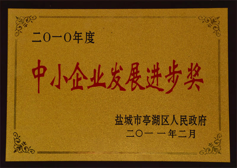 發(fā)展進(jìn)步獎.jpg